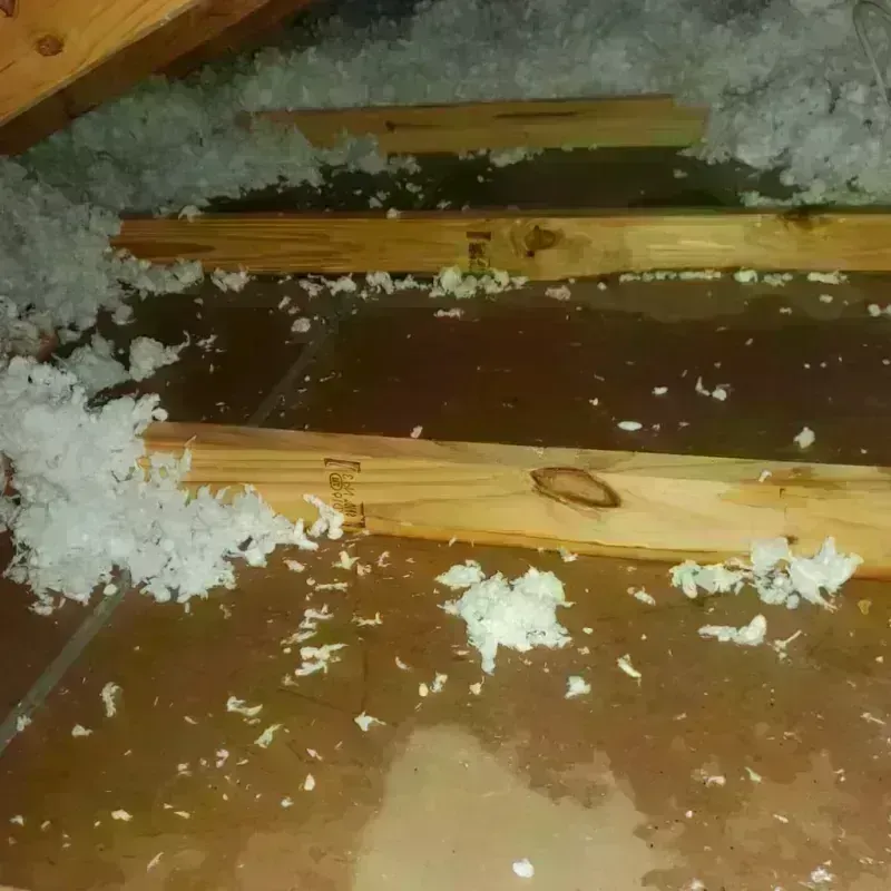 Attic Water Damage in Wells County, ND