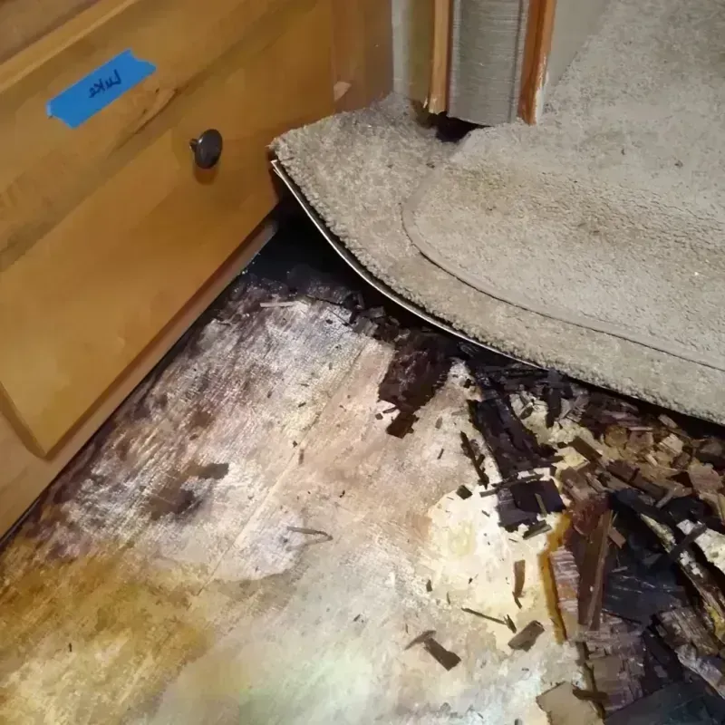 Best Wood Floor Water Damage Service in Wells County, ND